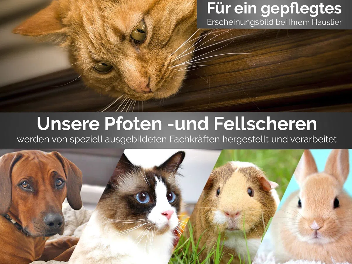 Fellschere aus Solingen Effilierschere Hunde-Schere mit 2-Seitiger Zahnung Ausdünnschere Made in Germany Fell Haarschere mit Scharfem Schnitt für Hunde Katzen zum Ausdünnen des Tierfells (13,97 cm)