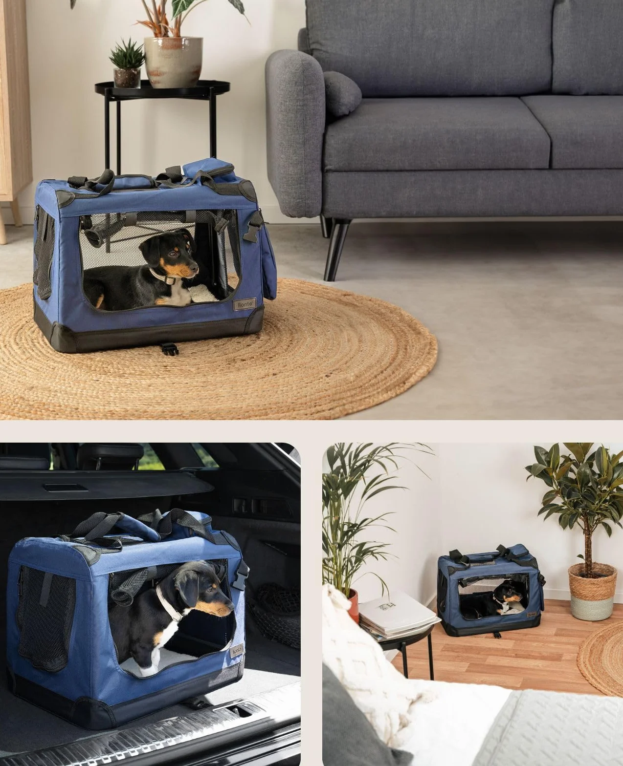 lionto Hundetransportbox faltbar für Reise & Auto, 50x34x36 cm, stabile Transportbox mit Tragegriffen & Decke für Katzen & Hunde bis 10 kg, robuste Hundebox aus Stoff für klein & groß, dunkelblau
