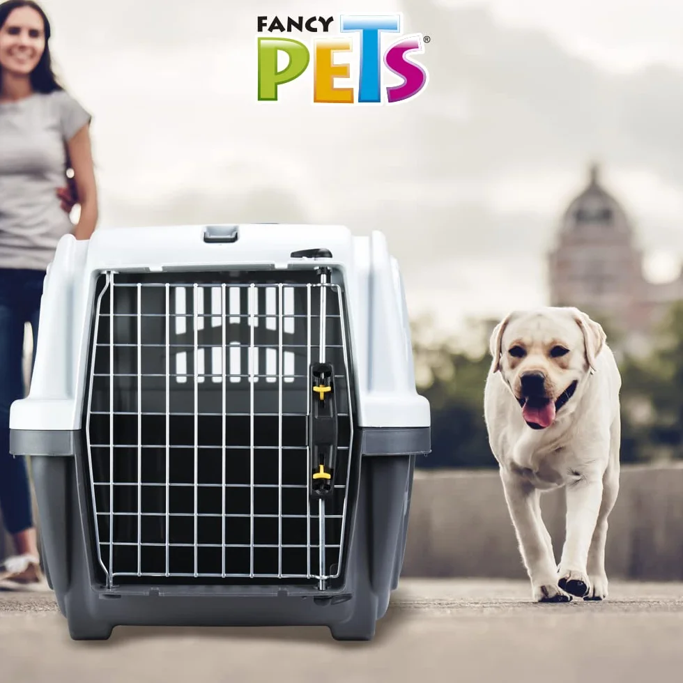 TRIXIE Transportbox Skudo – S: 40 × 39 × 60 cm, IATA-konforme Transportbox für Hunde & Katzen ideal für Reisen mit Auto oder Flugzeug, robuste Reisebox aus Kunststoff mit Schnappverschlüssen – 39741