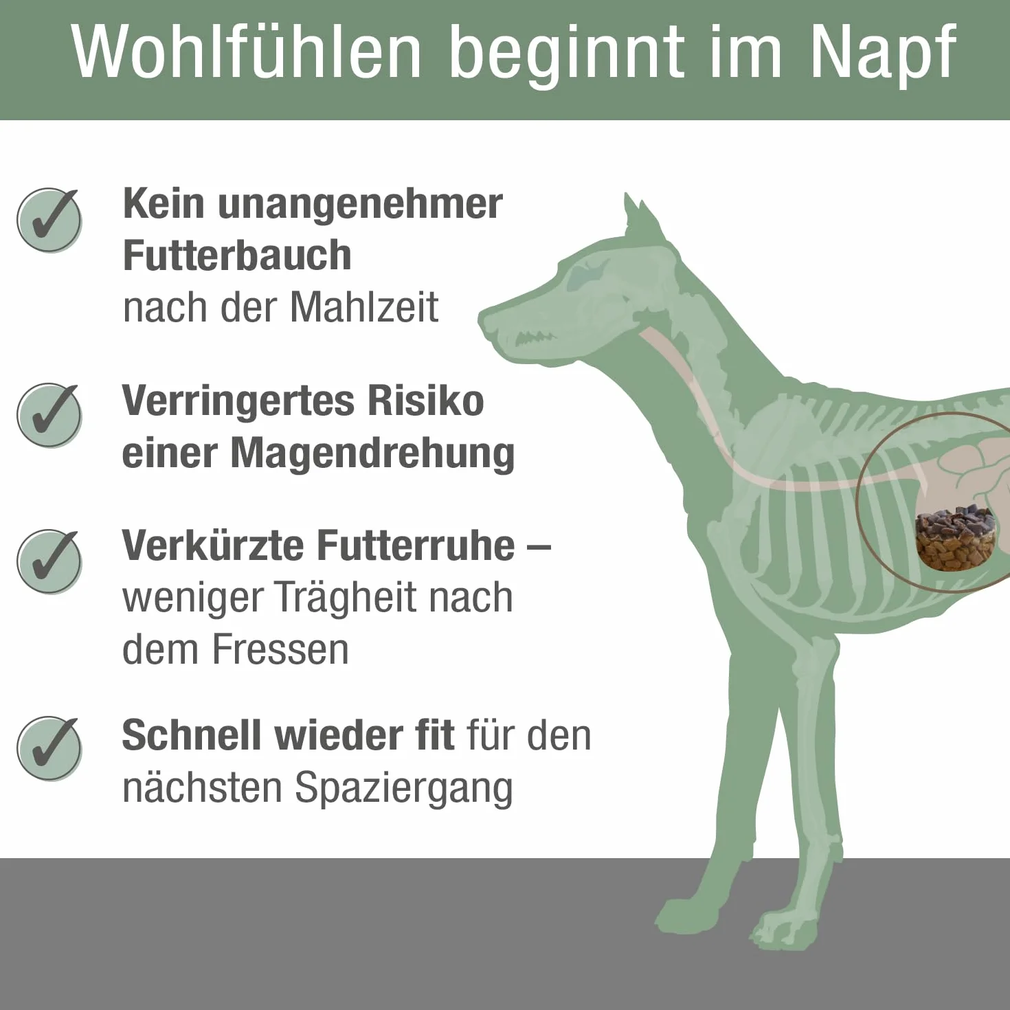PLATINUM - Hundenahrung Adult Chicken aus Fleischsaftgarung - 5kg Hundefutter trocken nährstoffreich wie Barf - besonders schmackhaftes Hundetrockenfutter für kleine und große Hunde - in DE geprüft