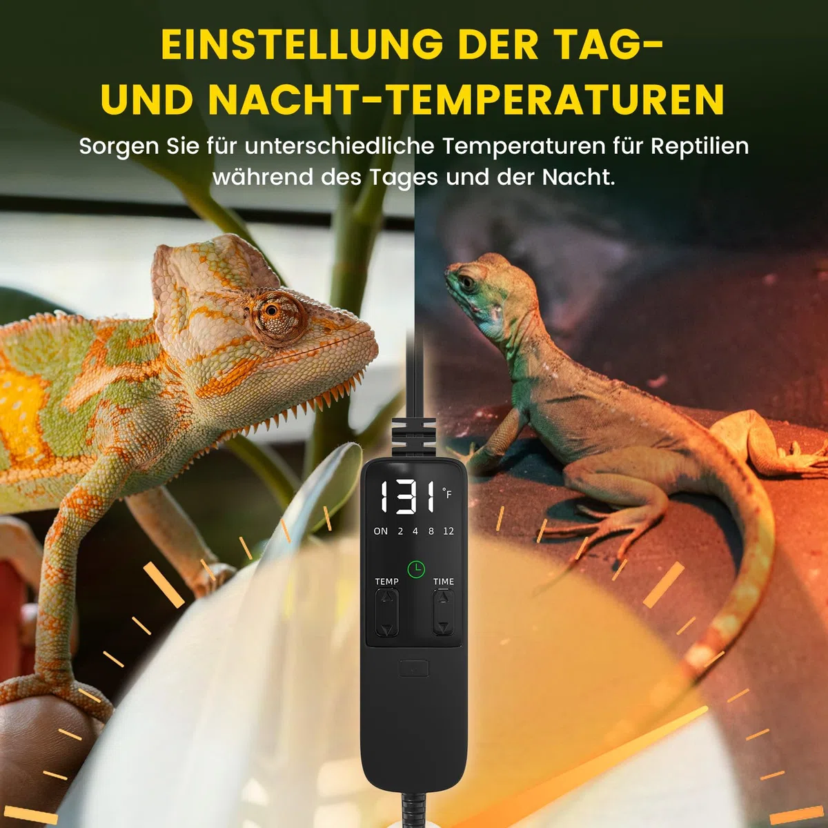 GlowUp Wärmelampe Terrarium, 5.5-Zoll Reptilien Wärmelampe mit Thermostat und Timer, E27 Reptile Dome 300W Lampenfassung für Schildkröte Eidechse Bartagamen (Keine Glühbirne)