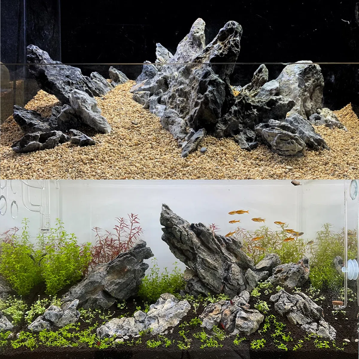 Natürlicher Seiryu Rock Drachenstein 5kg – Aquarium Steine für Aquascaping, Aquariengestaltung, Terrarium & Vivarium, 7–15 cm