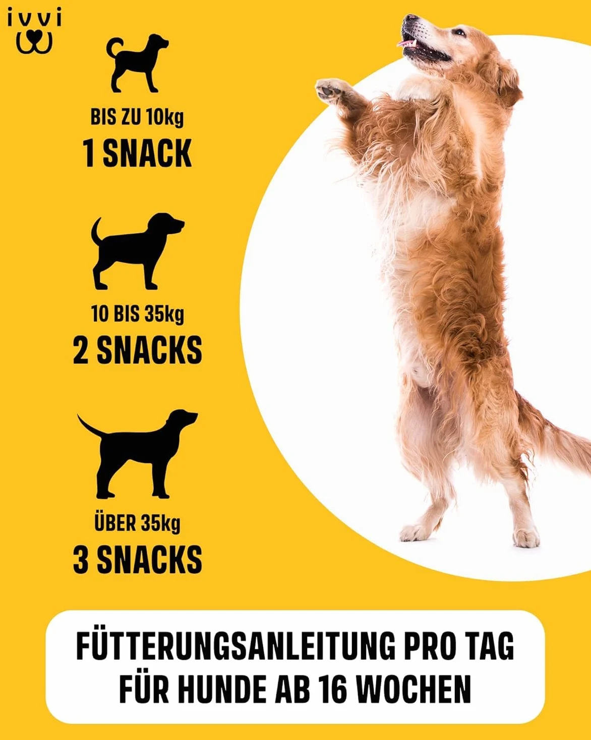 ivvi Hip & Joint - hochkonzentrierte Gelenktabletten für Hunde als Leckerli mit Grünlippmuschel Hund, Glucosamin, Chondroitin & MSM - 60 leckere Snacks (270g) mit Huhn