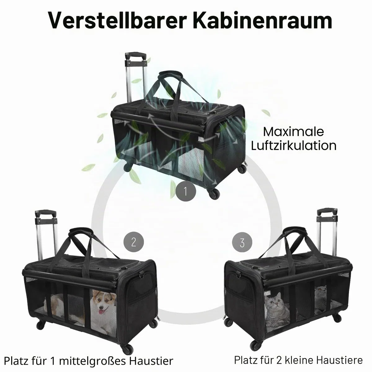 Transporttasche für Katze mit Rollen, faltbare Katzentransportbox für 2 Haustiere bis 15,9 kg, belüftet, für Reisen