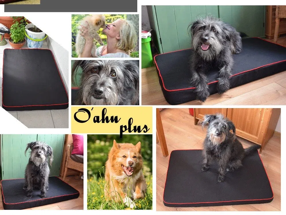FORTISLINE Hundematte Hundebett OAHU Plus 2 Größen 4 Farben (XL - 120x80x8cm, Orange)