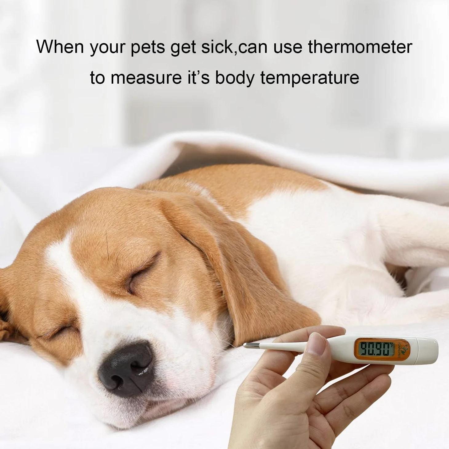 Erste-Hilfe-Set für Haustiere für Hunde, Katzen, Kaninchen und andere Tiere, mit Thermometer, Spritze, Otoskop, perfekt für die Pflege zu Hause und Notfälle auf Reisen im Freien