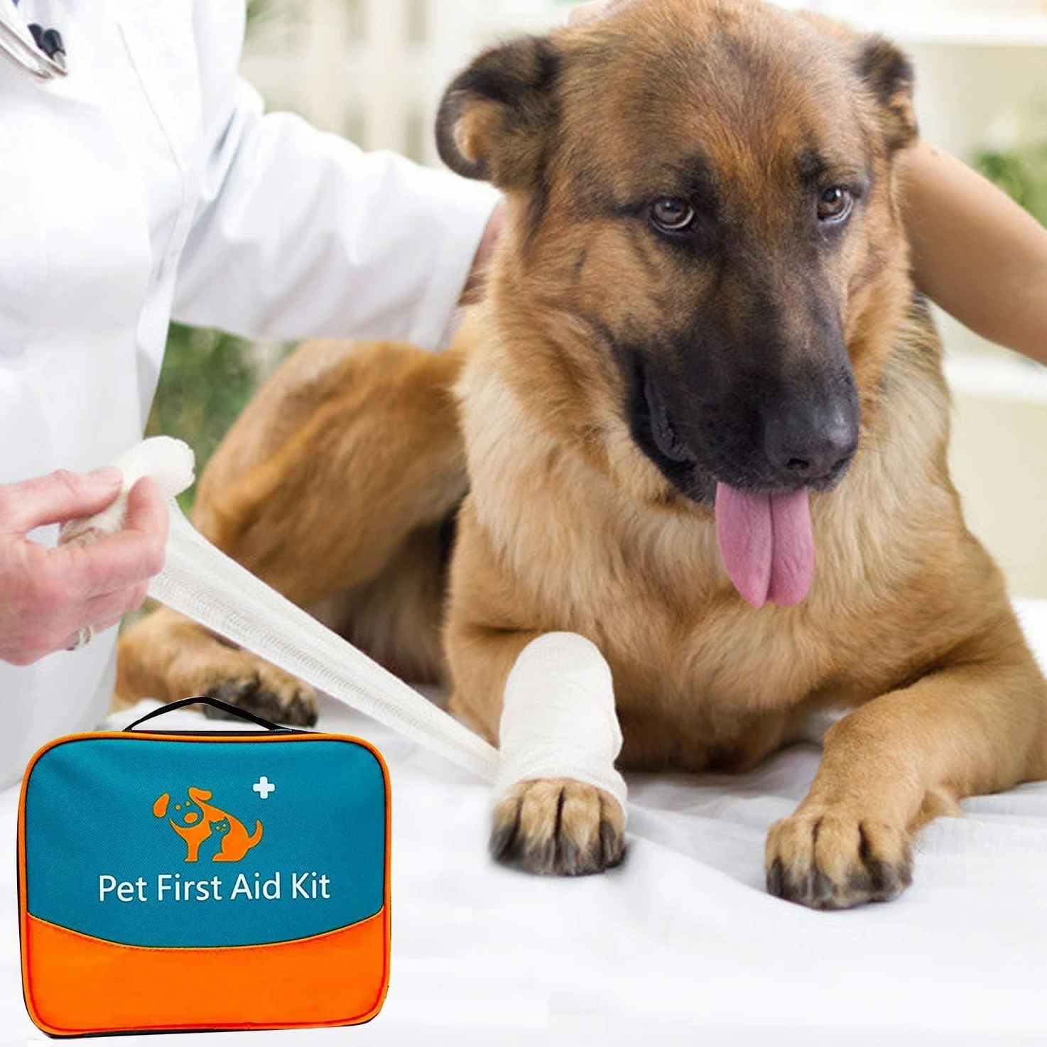 Erste-Hilfe-Set für Haustiere für Hunde, Katzen, Kaninchen und andere Tiere, mit Thermometer, Spritze, Otoskop, perfekt für die Pflege zu Hause und Notfälle auf Reisen im Freien