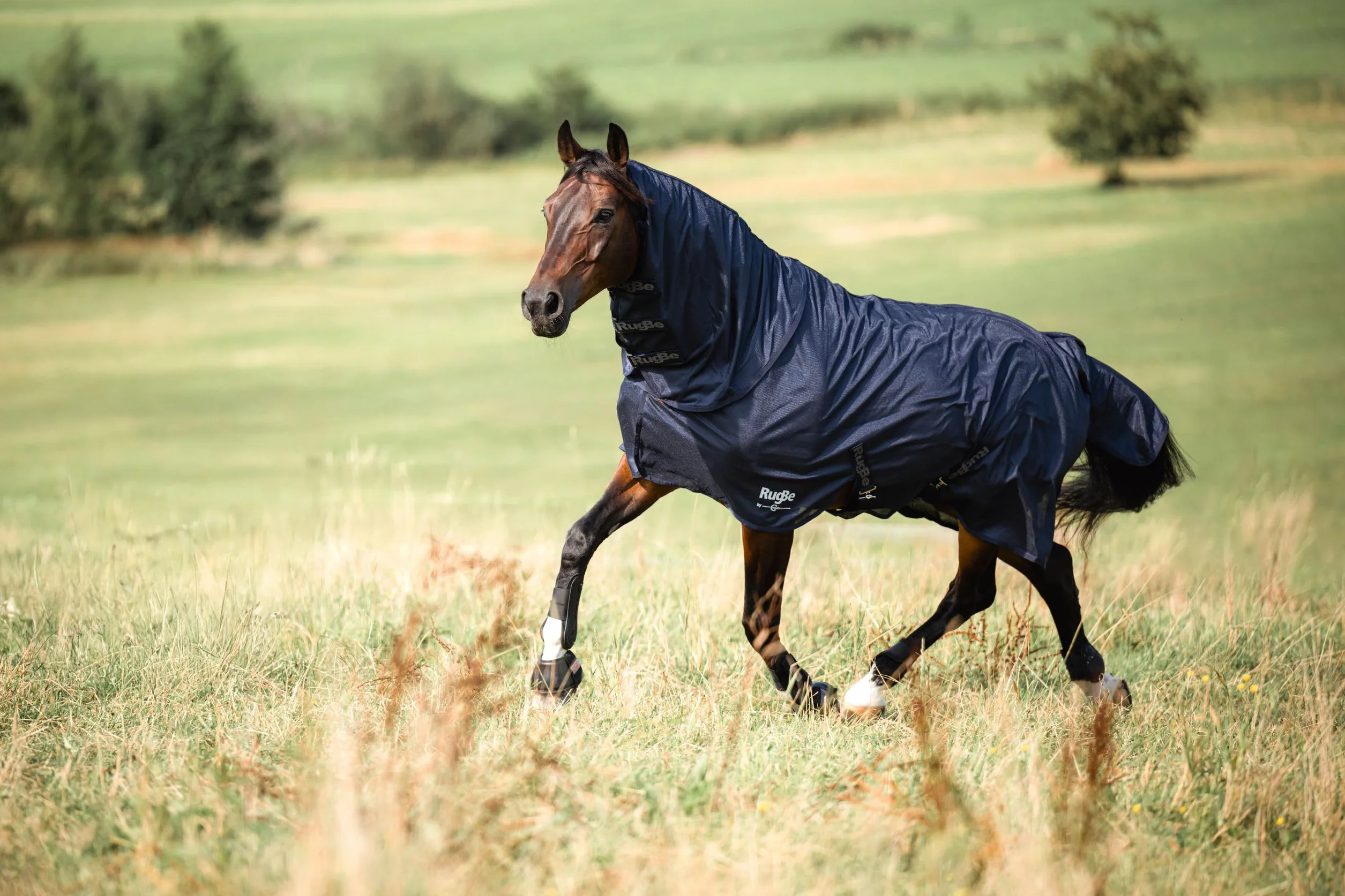 Covalliero Fliegendecke RugBe Superfly inkl. Halsteil, 145cm, Navy