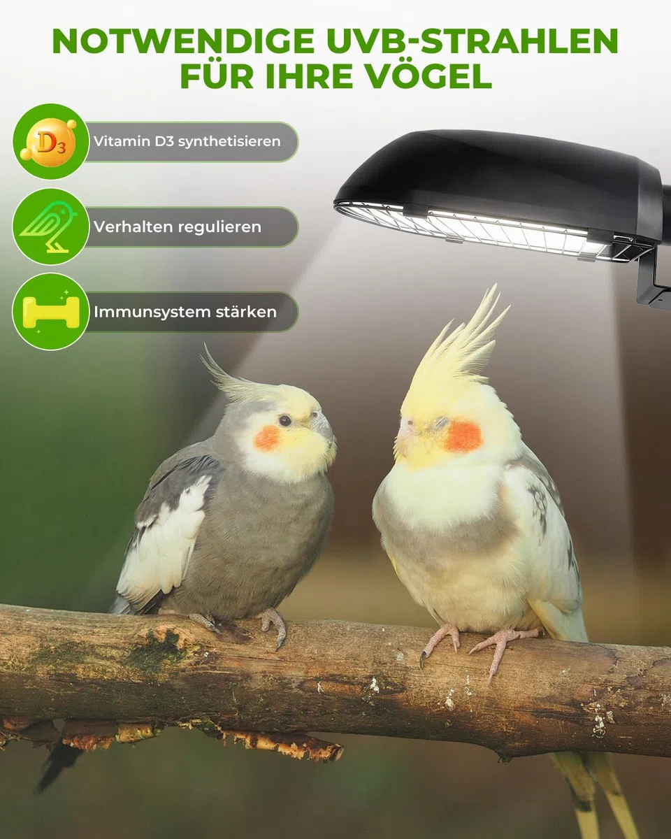 GlowUp UVB 2.4 Vogellampe Kombi-Set, tiefe U-förmige Lampenfassung mit 20W UVB Vogellampe E27 für Vögel