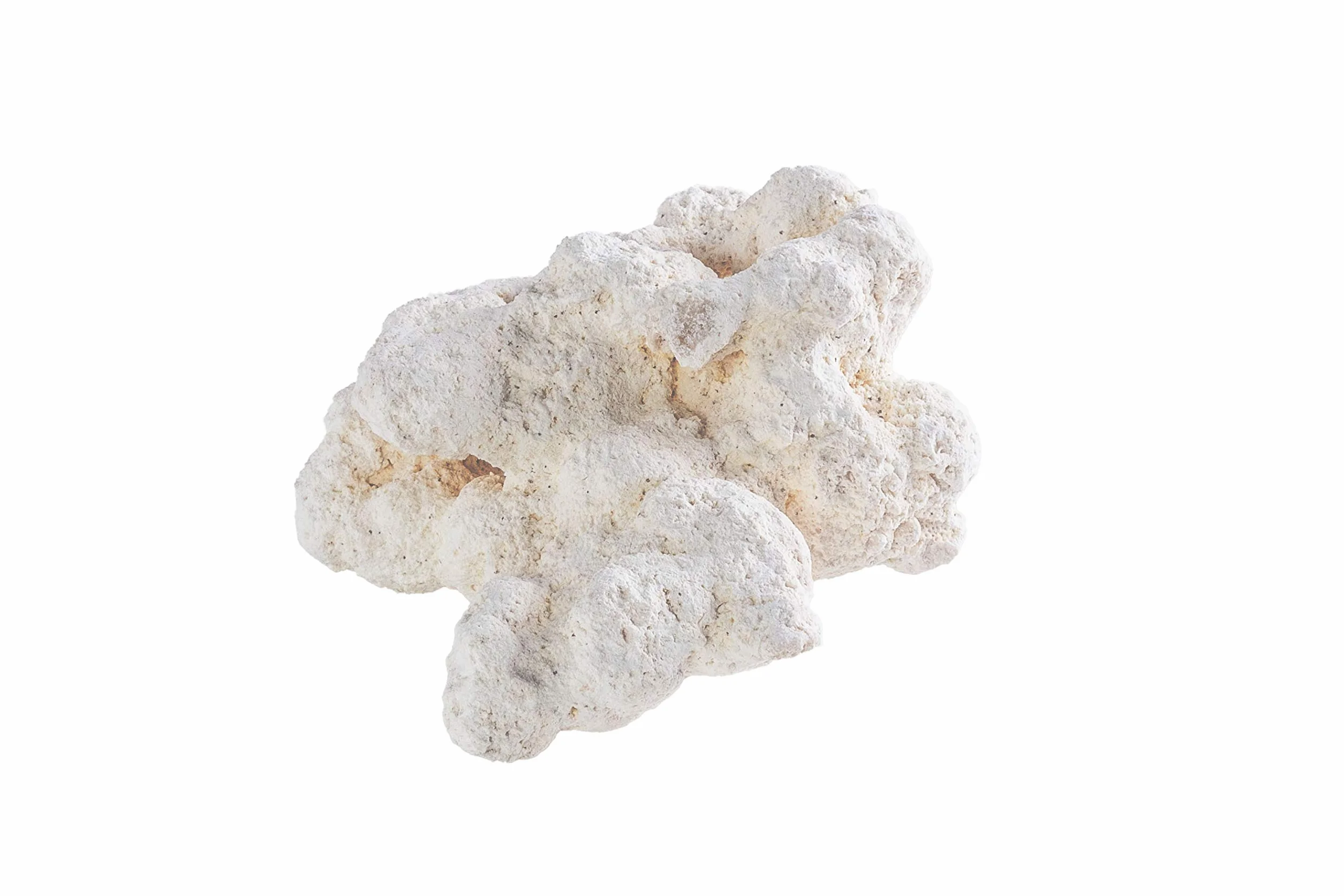 ARKA Riffgestein Aquarium 13–20 cm / 20 kg – natürliches Aragonit-Riffgestein für Meerwasseraquarien – porös, schadstofffrei & ideal für Korallen und Bakterien myREEF-Rocks