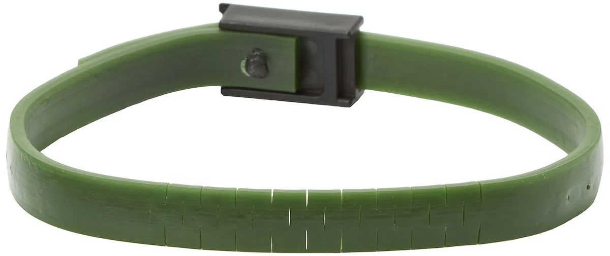 beaphar Zecken- & Flohschutz Halsband Katze | Schutz vor Zecken Flöhen | Wirkt 4 Monate | Katzenhalsband mit Sicherheitsverschluss | Farbe: Grün | Länge: 35cm (Packung mit 2)