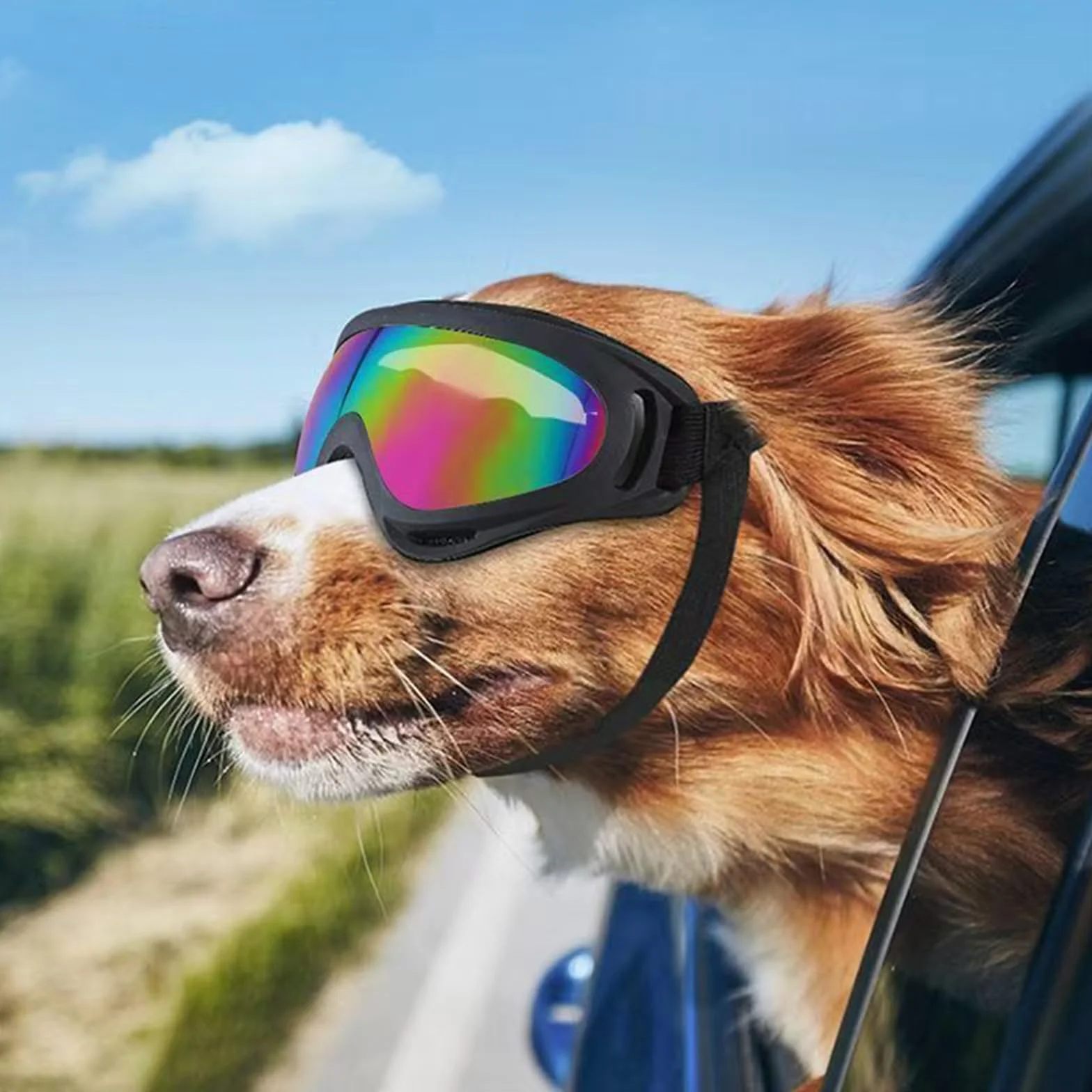 2Stück Hundebrille, Brille Hund UV-Schutz, Winddicht Hunde Brille, Sonnenbrille Hund mit Verstellbare Riemen, Hundesonnenbrille für Mittel Große Hunde, zum Autofahren,Outdoor-Aktivitäten,Farbe