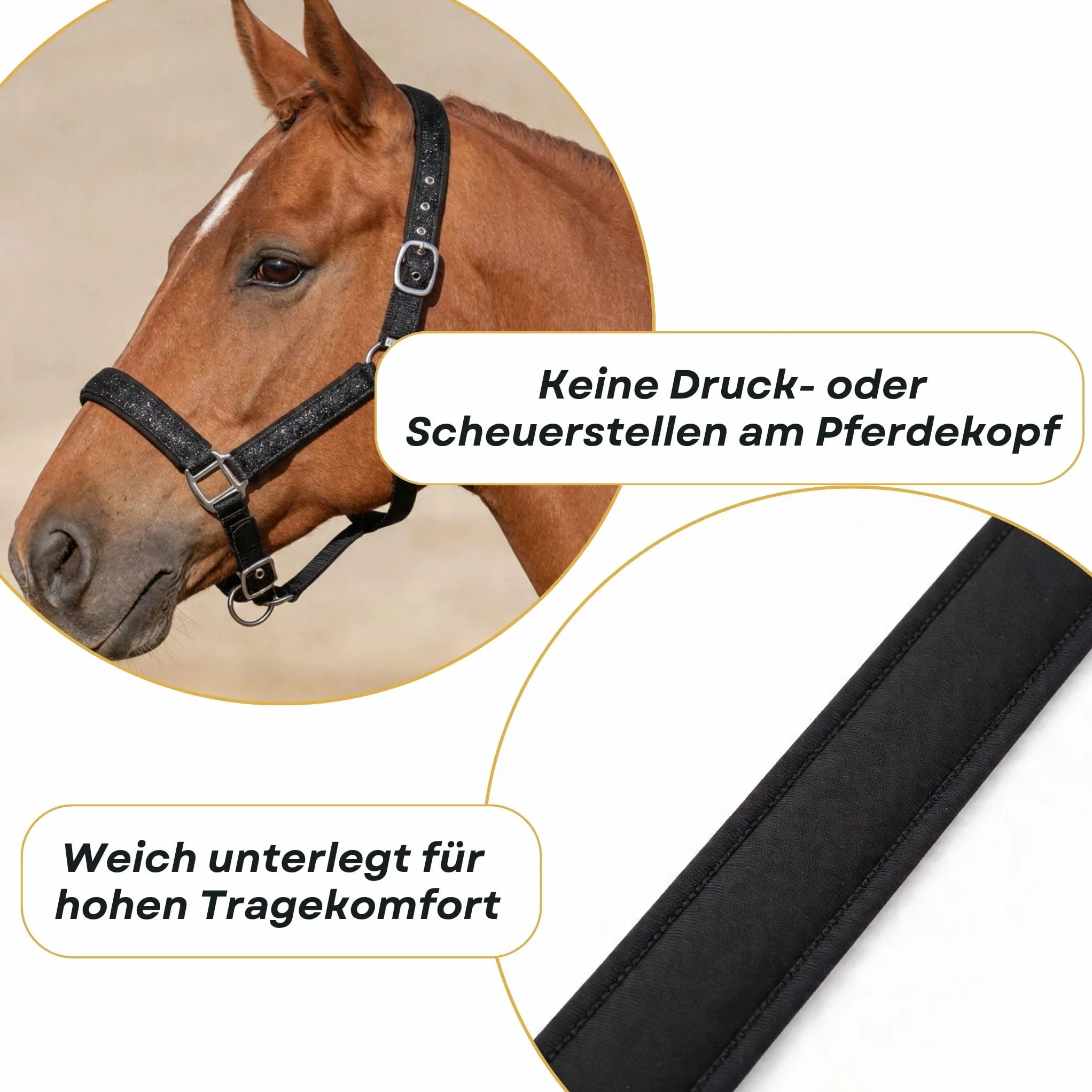 Pferdelinis Halfter für Pferde Glitzerhalfter, gepolstertes Halfter, verstellbare Dornschnallen, Halfter Pony, Cob, Warmblut, Shetty (Schwarz, Warmblut)