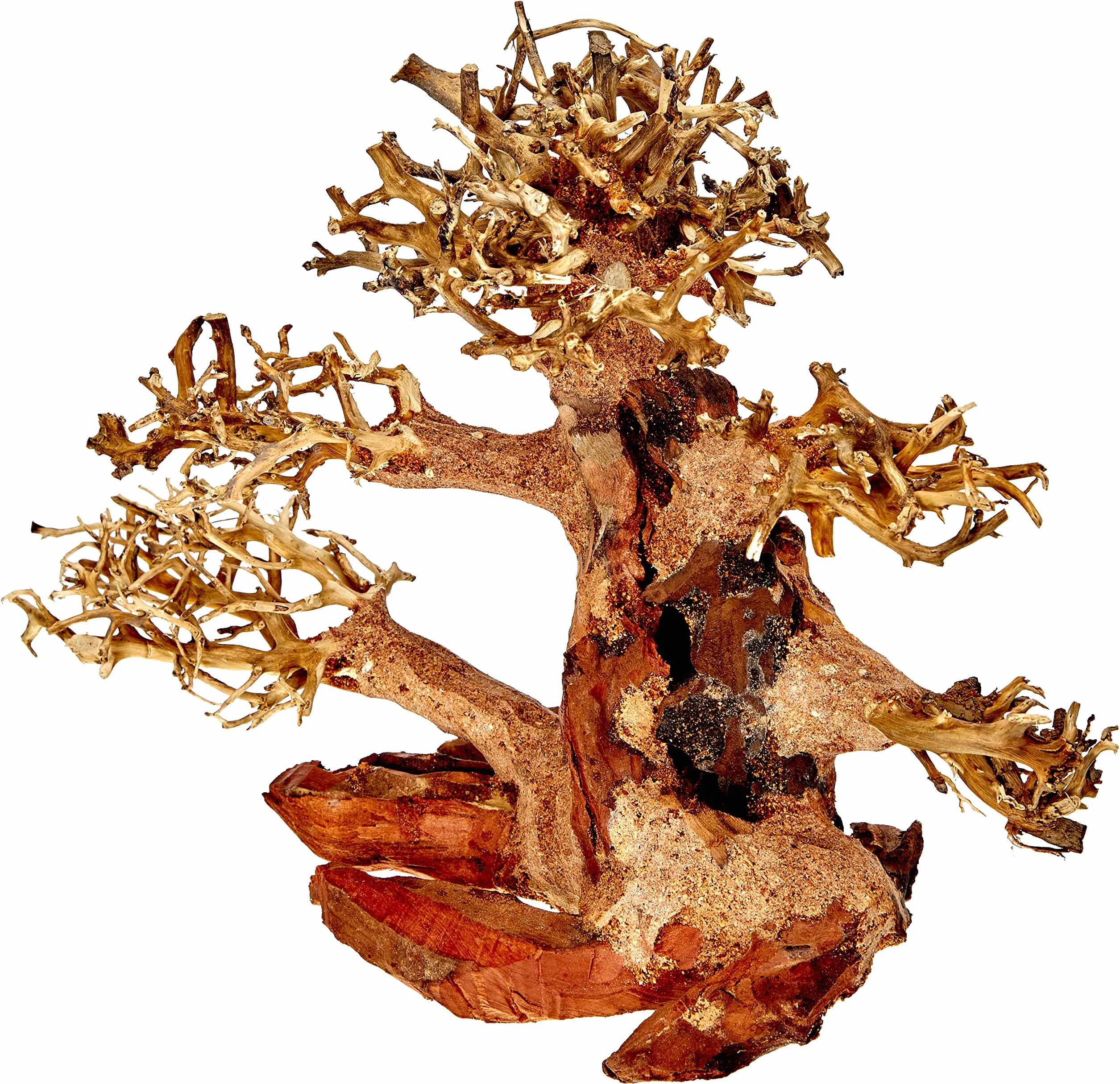 Amtra - Oriental Wind Wood 4, Dekoration Süßwasseraquarium, Bonsaiholz, handgefertigt, für Aquascaping, 23x10x17 CM
