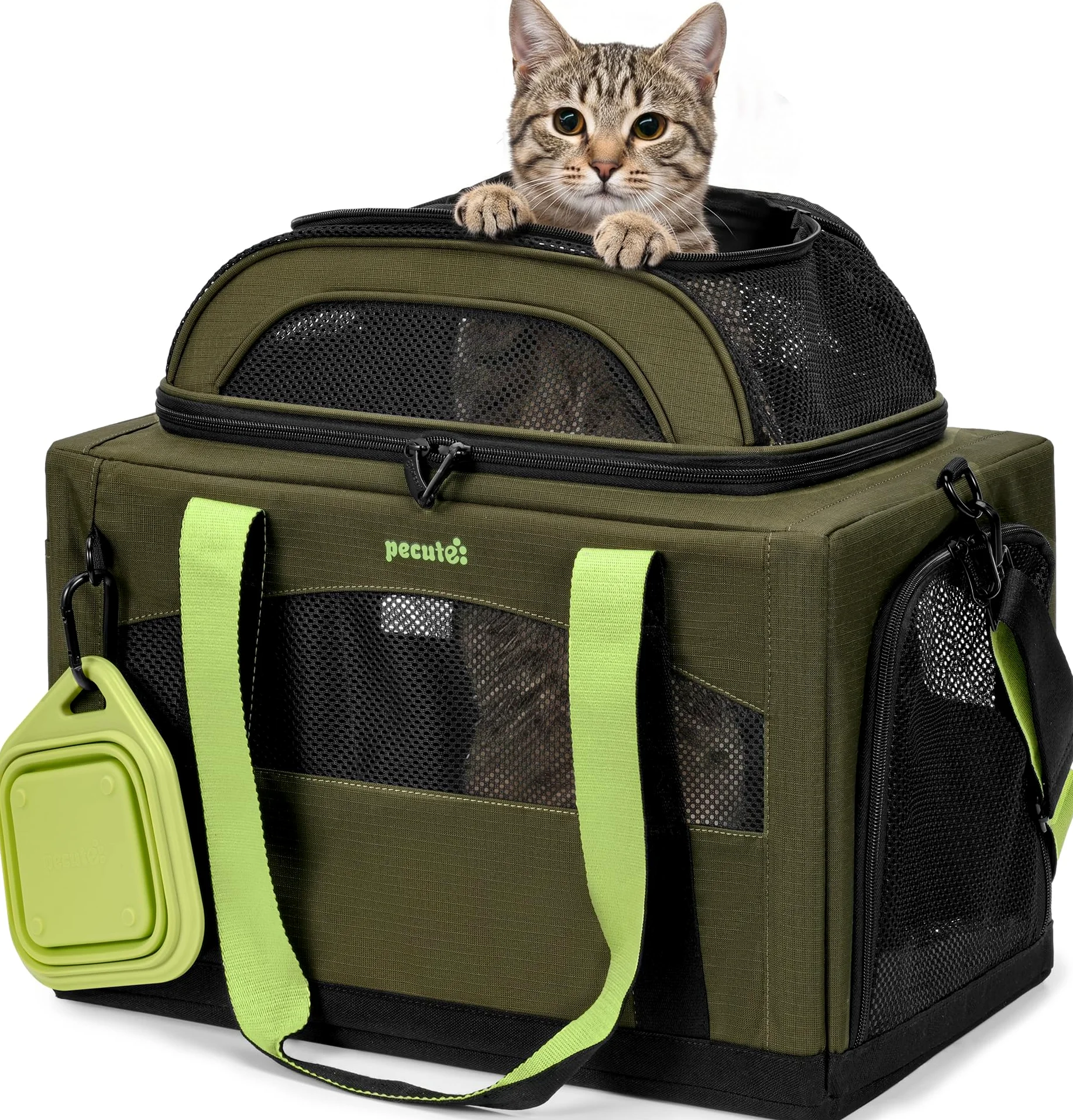 pecute Katzen Transportboxen Katzentasche Transporttasche Bben Erweiterbar | Transportbox Katze Leicht, Faltbar Katzen Tasche für Katzen und kleine Hunde Stabiler großer Raum Halt Haustier Tragetasche