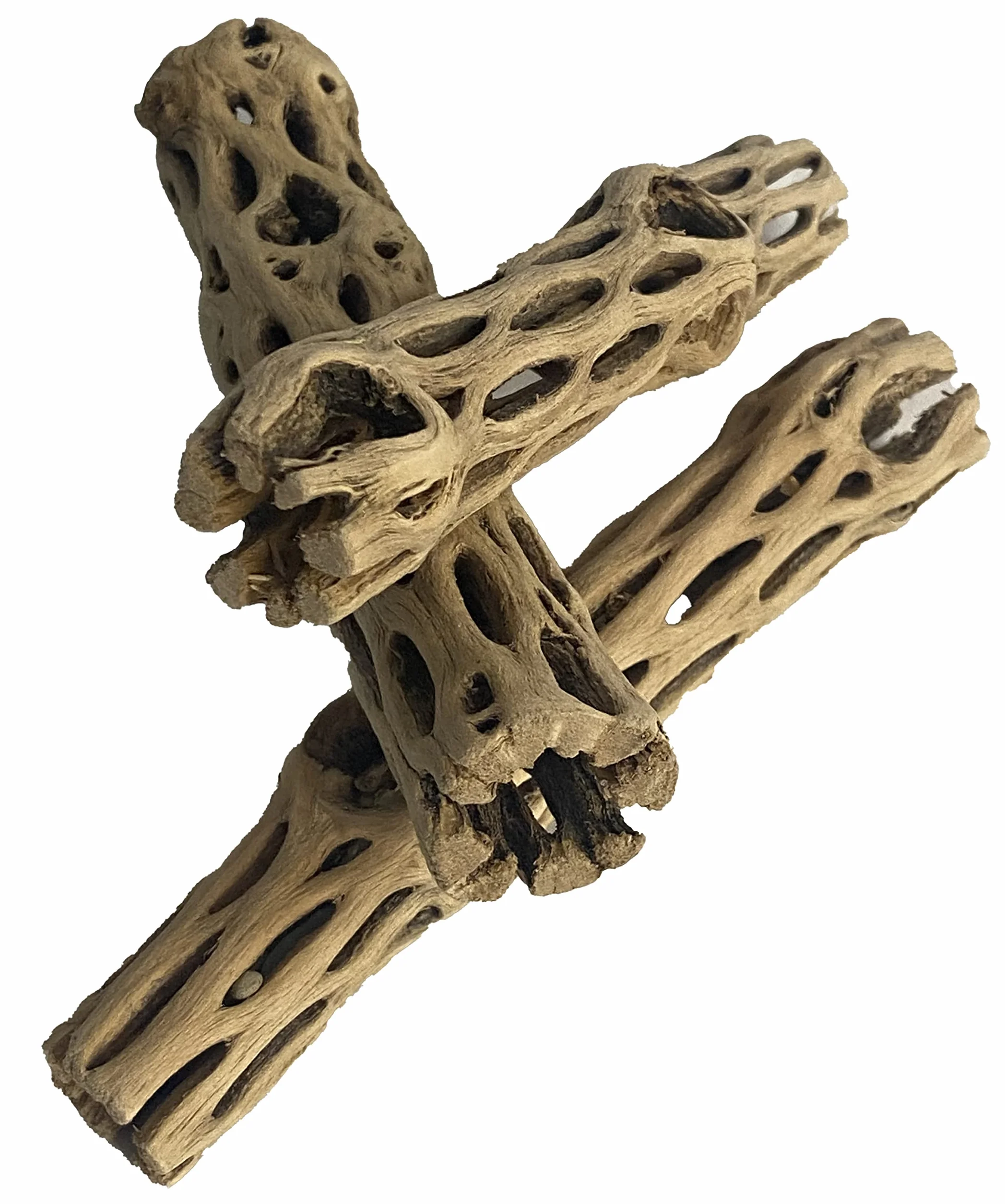 Awesome Aquatics Natürliches Cholla/Choya-Holz, 15.2 cm, für Garnelen Lebensraum und Futter für Einsiedler, Krabben, Plekos, Aquarium-Dekoration, getrocknet, organisch