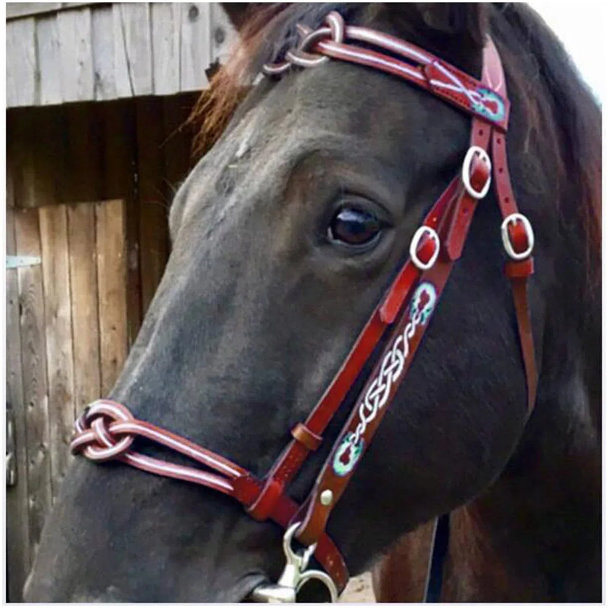 English Horse Trensenzaum - Verstellbare Reittrensen aus Leder - für Pferde, Pferdehalfter für Outdoor-Pferdezubehör und Pferderennausrüstung (Rot)
