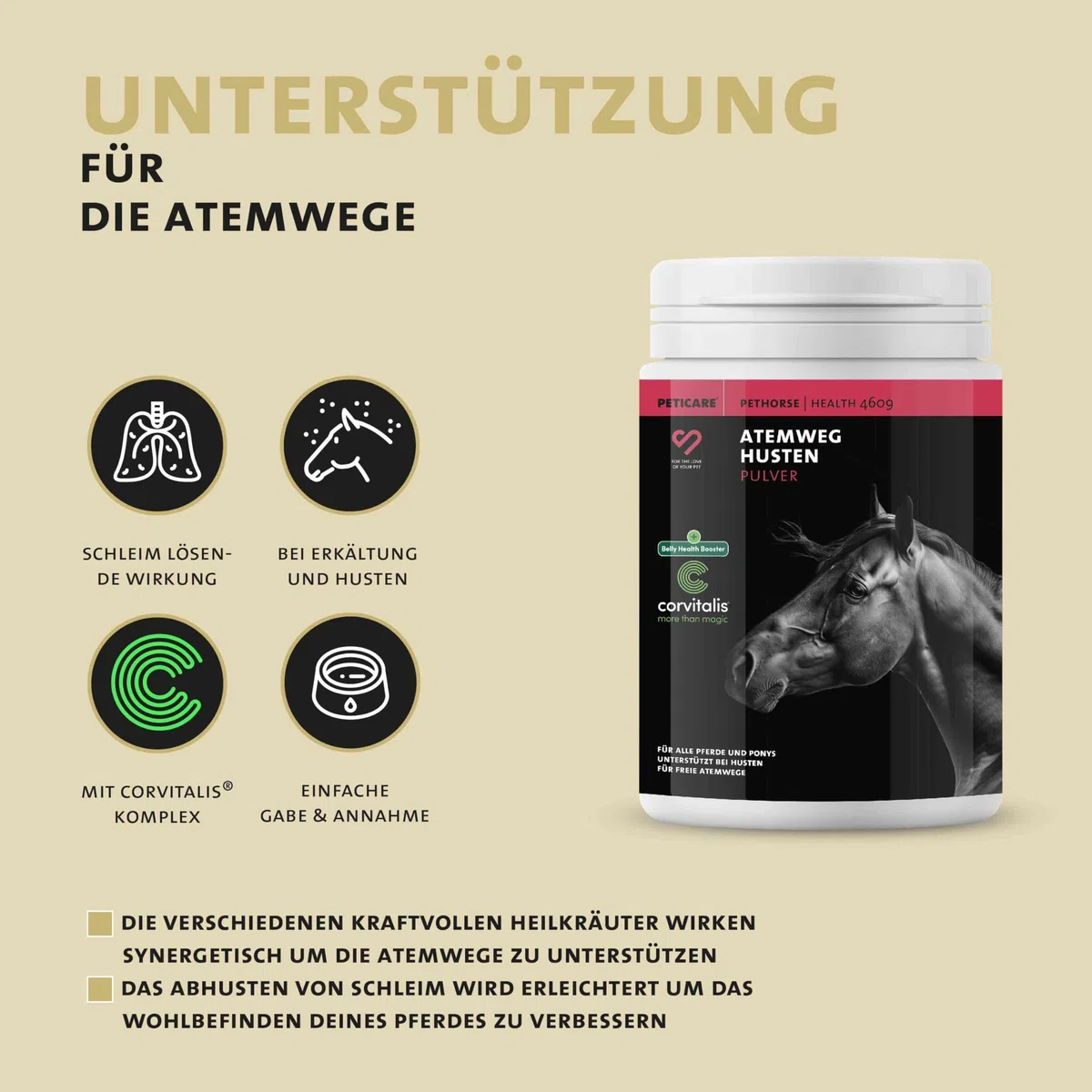 Peticare Bronchial und Husten-Mittel für Pferde | Unterstützt Atemwege & bei Erkältung, Schnupfen | Schleimlösend | Natürliche Kräuter-Formel | Hustensaft-Pulver | GMO-frei | petHorse Health 4609