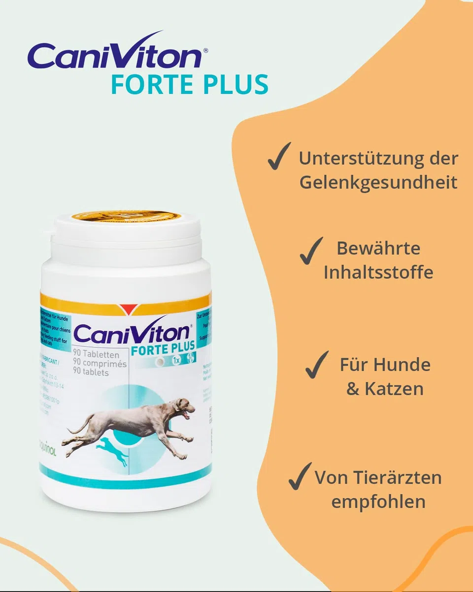 Vetoquinol - Caniviton Forte Plus Ergänzungsfuttermittel für Hunde und Katzen 90 Tabletten, 1er Pack (1 x 0.24 kilograms)