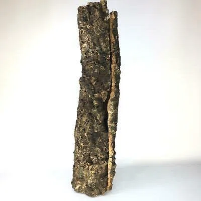 100% natürliche Korkrinde - Perfekt für Terrarium, Garten und Dekoration - Schutz vor Feuer, Hitze, Kälte und Feuchtigkeit Röhre groß etwa 80-100cm lang Außendurchmesser etwa 19-30cm
