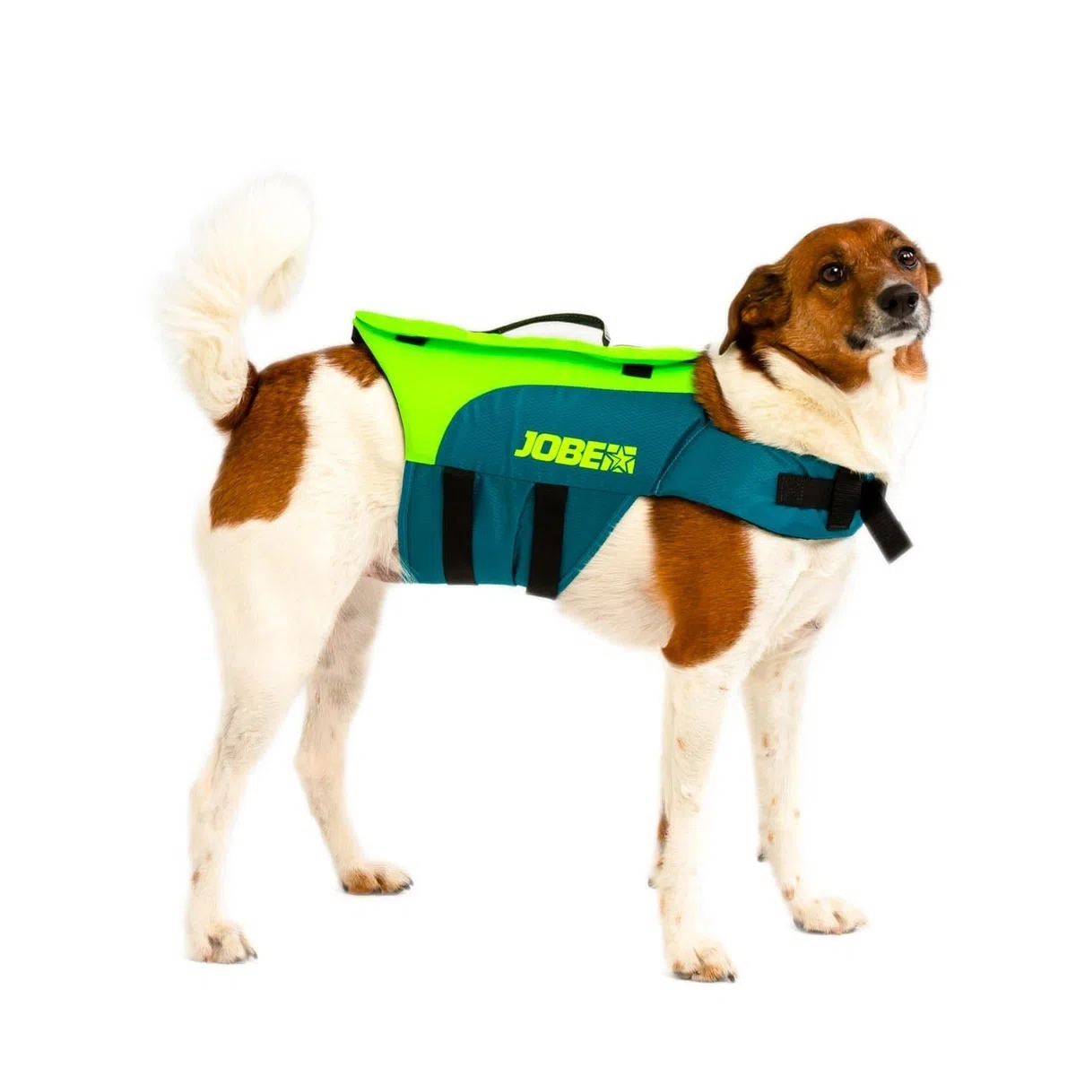 Hondenzwemvest Lime Teal