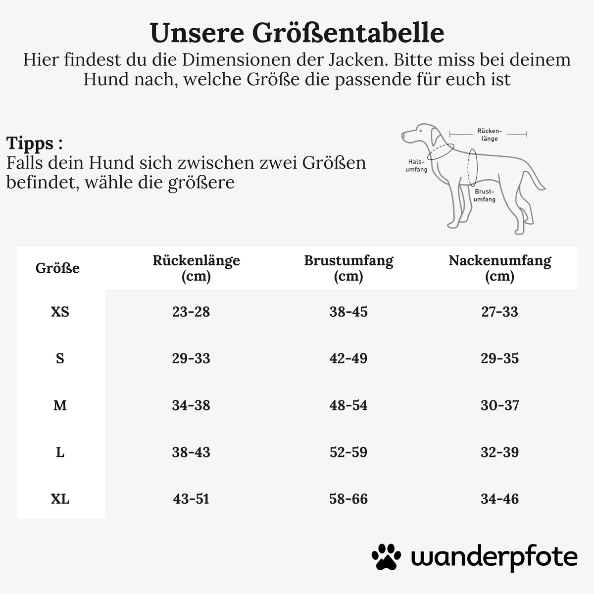Hunderegenmantel in Grau, Größe L – Hundemantel Stilvoll und Elegant – wasserdichte Hundejacke - optimal für kleine und mittelgroße Hund – minimalistische Hunderegenjacke
