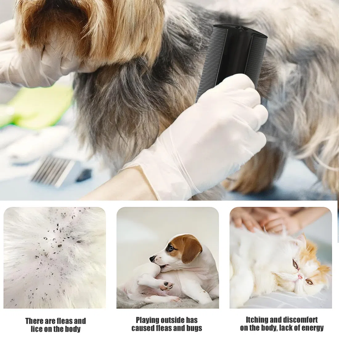 Läusekamm mit feinen Zähnen Set mit 6 Flohkämmen für Hunde und Katzen, effektive Entfernung, langlebiger doppelseitiger Läusekamm, Läusekamm, Kunststoff, für Kinder, Erwachsene, Haustiere,Weiß/Schwarz