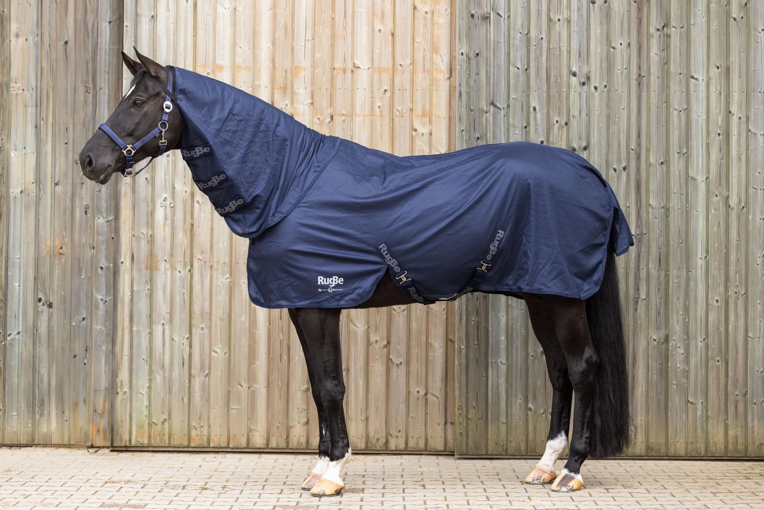 Covalliero Fliegendecke RugBe Superfly inkl. Halsteil, 145cm, Navy