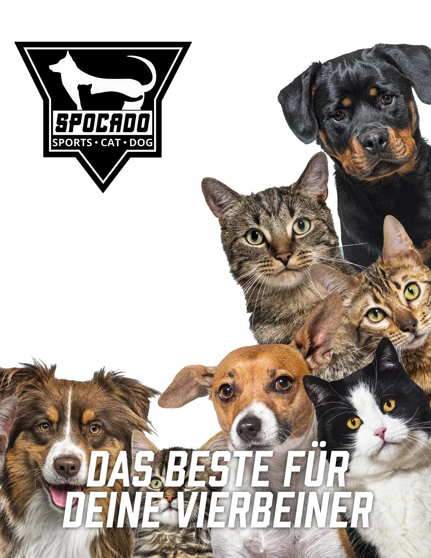 Villa Hunde Transportbox - Sicherer, bequemer Transport für deinen Hund - Stabile Konstruktion, in versch. Größen erhältlich - Leicht, langlebig und einfach zu reinigen (69 x 60 x 54 cm)