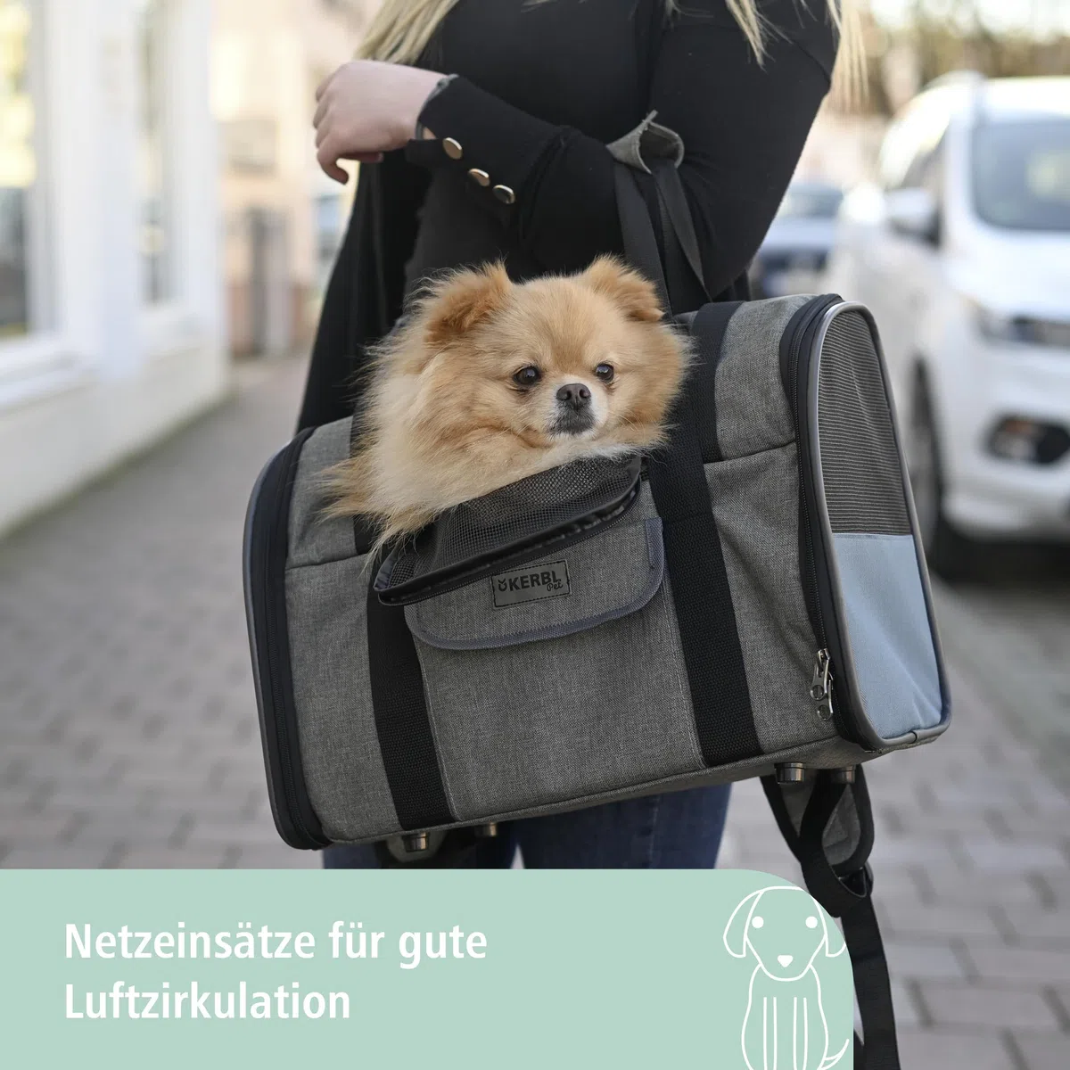 Kerbl Pet Hunderucksack Vacation, Hundetasche, Hundetransport, grau, blau, 43x24x30cm, Oxfordgewebe, kleine Hunde, Katzen, robust, schmutzabweisend