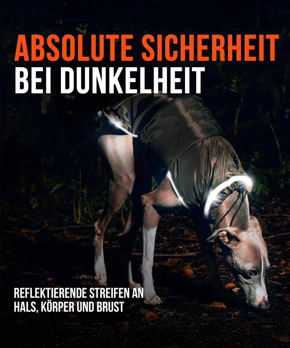 Hunderegenmantel London I Mit extra langem YKK® Reißverschluss für Halsband & Geschirr I Für kleine, mittlere & große Hunde I Wasserdicht & Maschinenwaschbar I Regenmantel für Hunde (45)